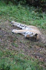IMG 9966
